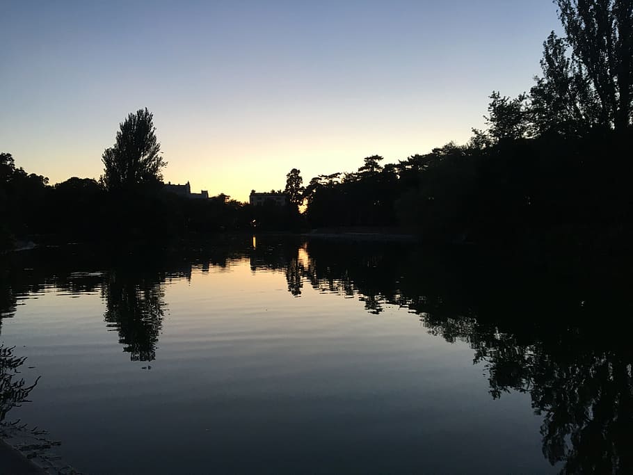 sunset, dark, nature, reflection, tree, water, sky, lake, plant HD wallpaper