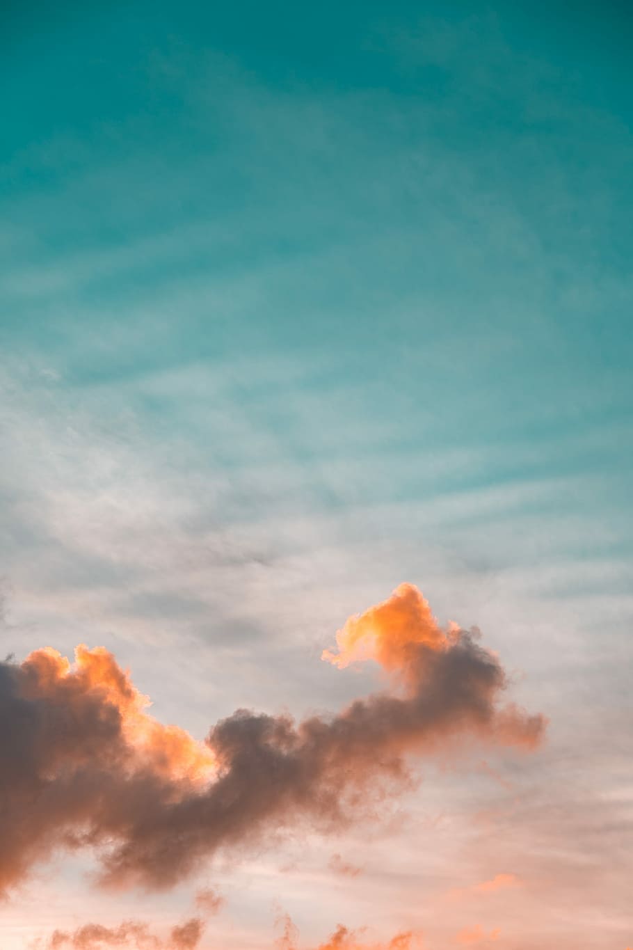 low angle photography of cumulus clouds on skies, bunny, rabbit HD wallpaper