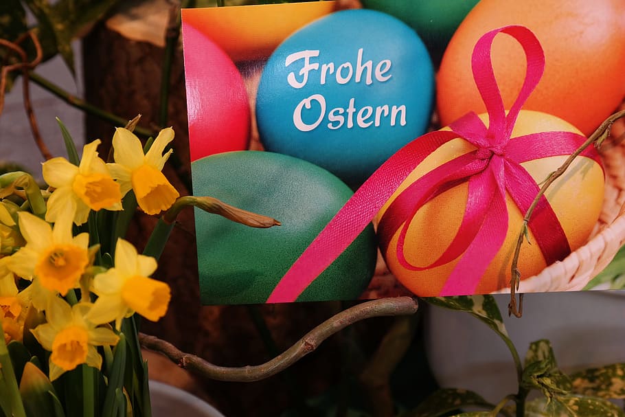 Greeting, Happy Easter, easter greeting, greeting card, easter eggs HD wallpaper