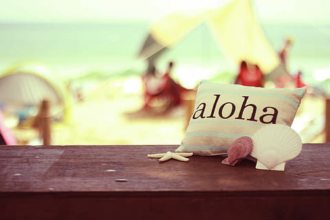 white Aloha print pillow, beach, summer, vacations, outdoors HD wallpaper