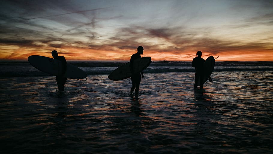 three people holding surf boards in ocean, silhouette of three men holding surfboard in body of water HD wallpaper