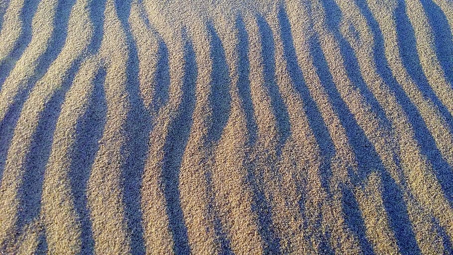 Sand, Beach, Wind, Sea, sandy beach, seashell, view, landscape HD wallpaper