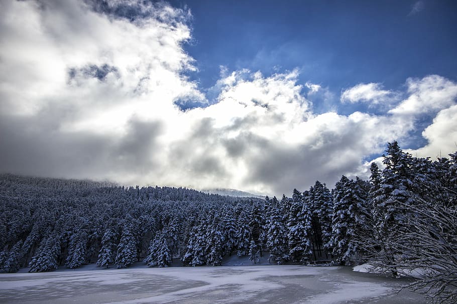 blue sky, clouds, cold, forest, frozen lake, snow, trees, winter HD wallpaper