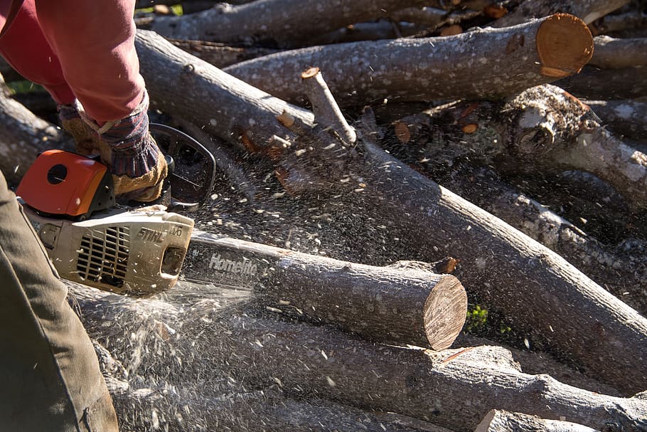 chainsaw, tool, power, cutting, tree, branch, sawdust, human body part HD wallpaper