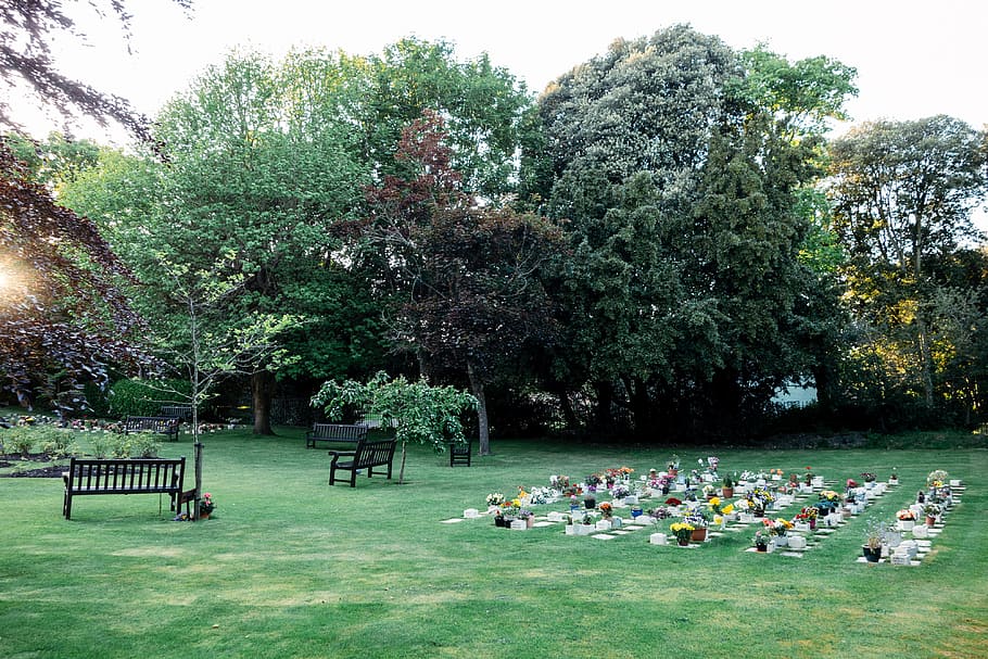 Park cemetery, nature, outdoors, tree, grass, park - Man Made Space HD wallpaper