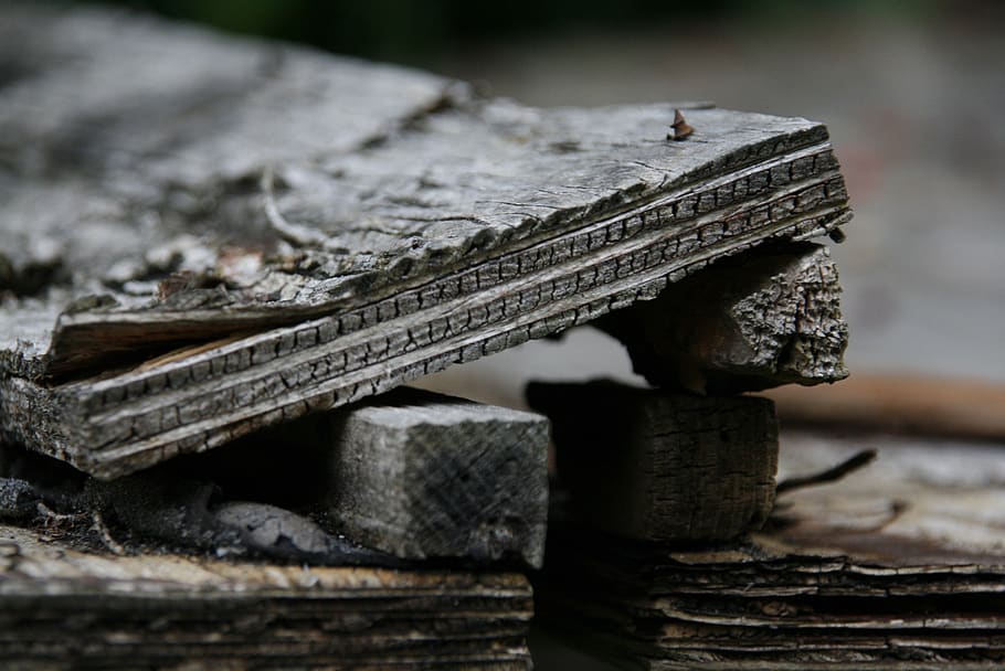 rots, rotten wood, morsch, fragmented, board, wood - material, HD wallpaper