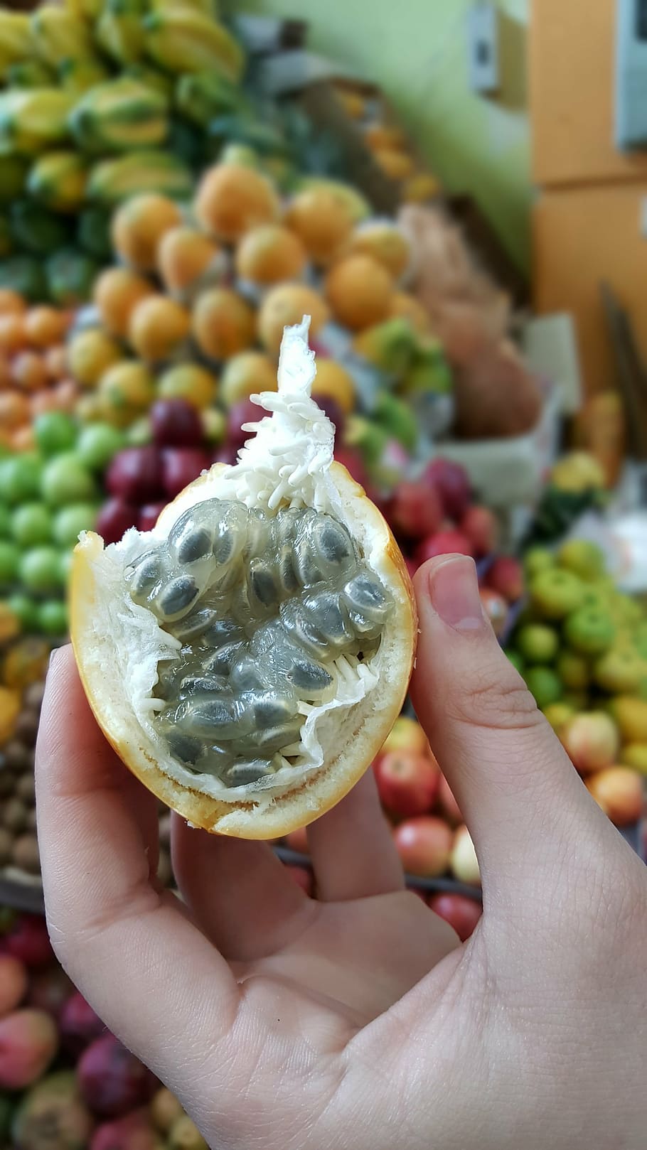 fruit, strange, weird, alien, sweet, ecuador, health, tropical HD wallpaper