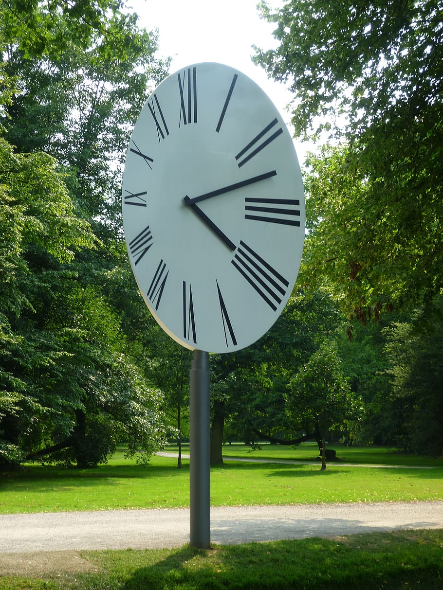 clock, time, time indicating, plant, tree, green color, nature HD wallpaper