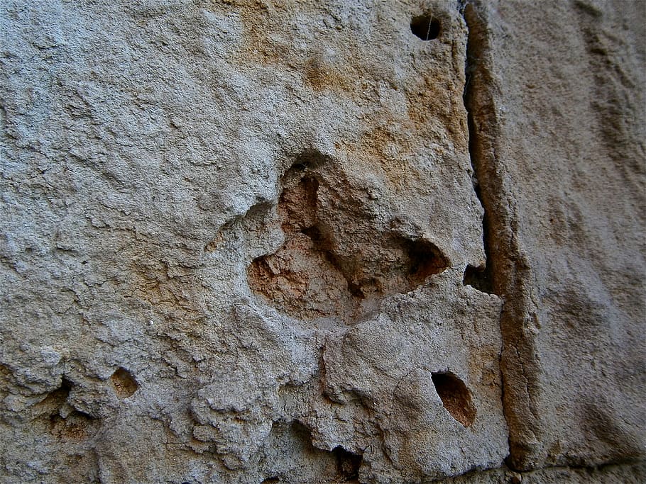 texture, stone, wall, sandstone, erosion, abstract, figurative HD wallpaper