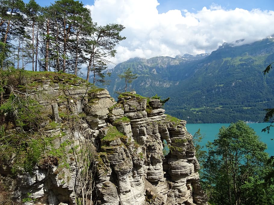 Rock, Mountains, Cliffs, Tree, Pine, rock edge, lake, alpine HD wallpaper