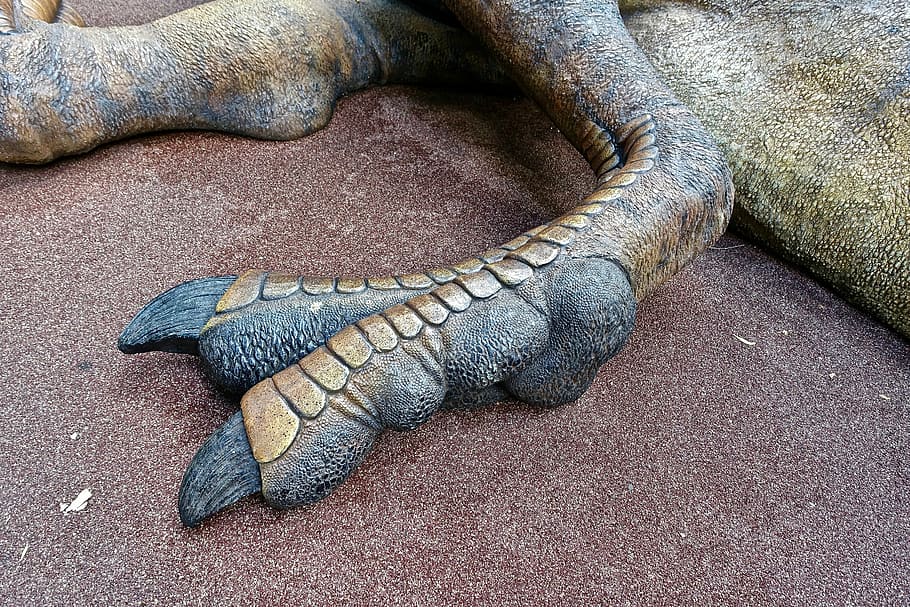 Foot, Dinosaur, Toes, Model, Plastic, animal, reptile, sea HD wallpaper
