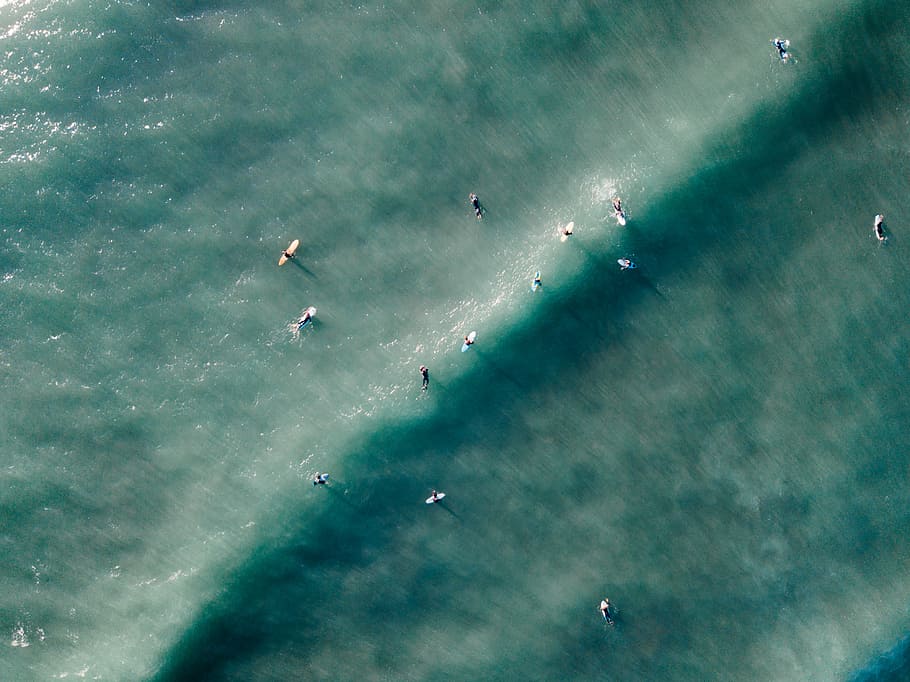 bird's eye view of people surfing sea waves, people surfing in beach HD wallpaper