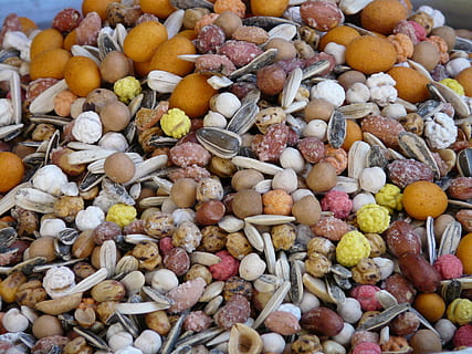 assorted-color seeds, cores, core mix, nuts, nut mix, sunflower seeds HD wallpaper