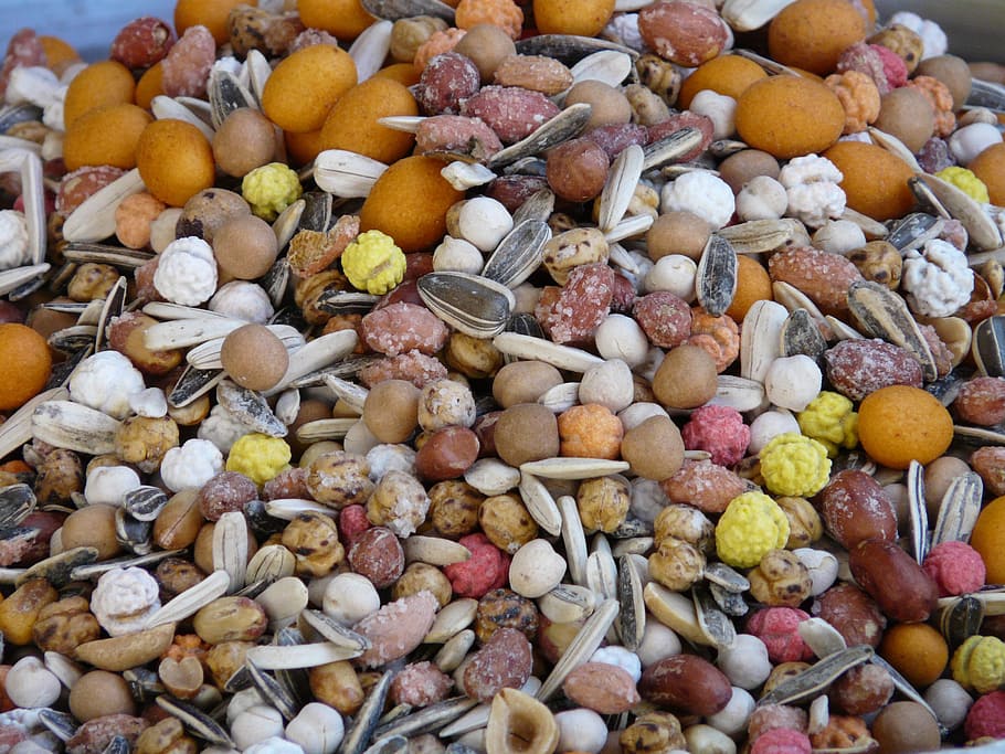 assorted-color seeds, cores, core mix, nuts, nut mix, sunflower seeds HD wallpaper