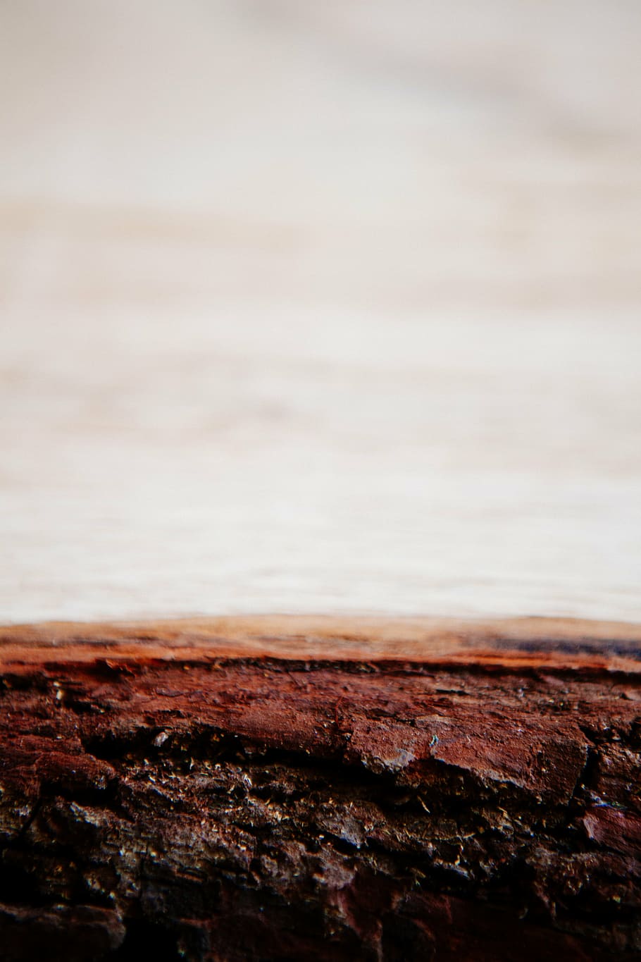 bark, beach, wood, wood - Material, backgrounds, old, brown HD wallpaper