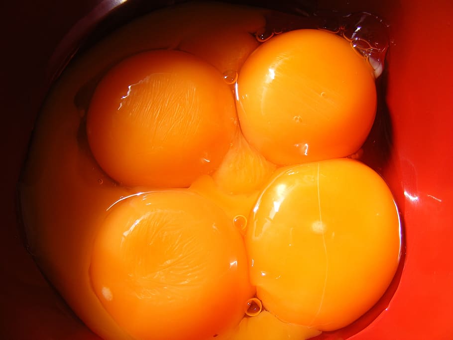 broken, egg, eggs, inside, oocyte, yellow, yolk, food, drink HD wallpaper