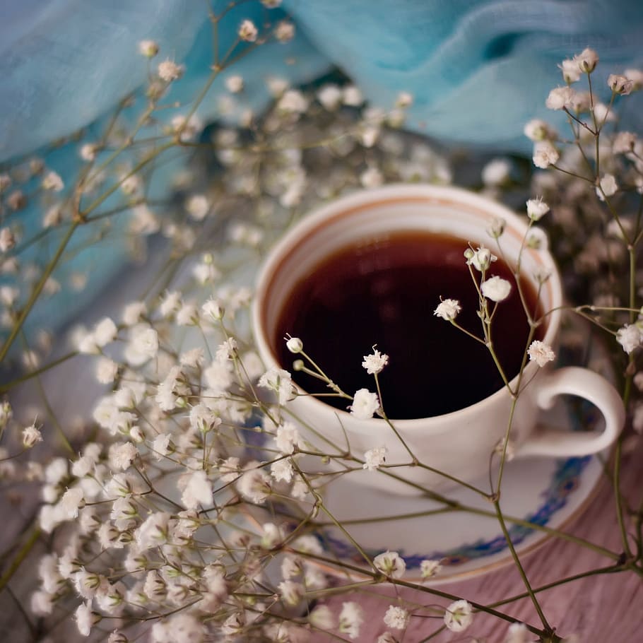 drink, cup, hot, coffee, gypsophila, flower, tea, liquid, dawn HD wallpaper