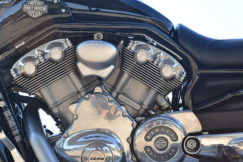 harley davidson, motorcycle, engine, ride, bike, speed, transportation HD wallpaper
