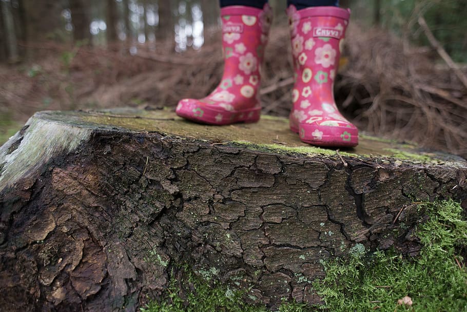 person wearing pink floral rain boots standing on tree during daytime