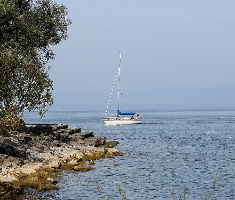 sailing boat, boot, lake constance, bank, romanshorn, water HD wallpaper