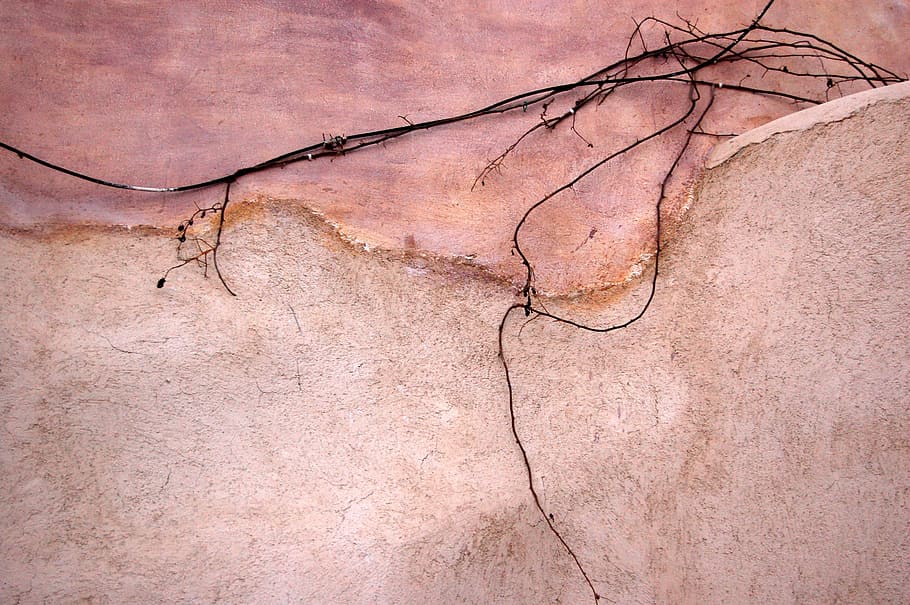 brown and black roots, dried vine plant in wall, pink, abstract HD wallpaper
