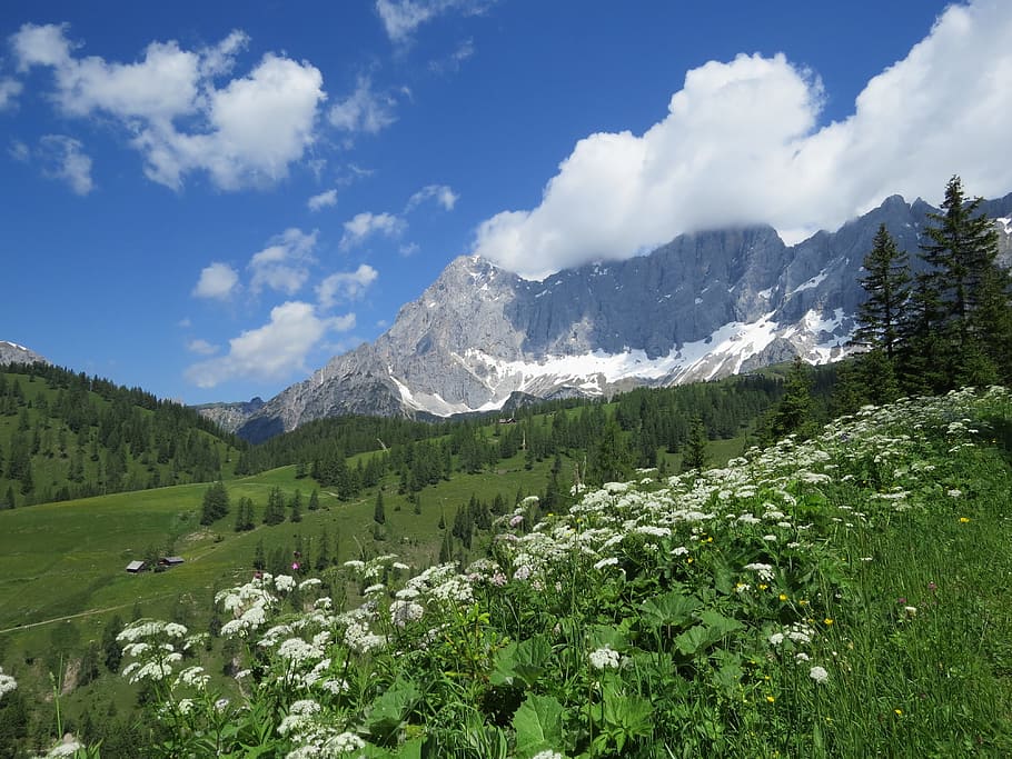 dachstein, view, mountains, austria, blue sky, nature, clouds HD wallpaper