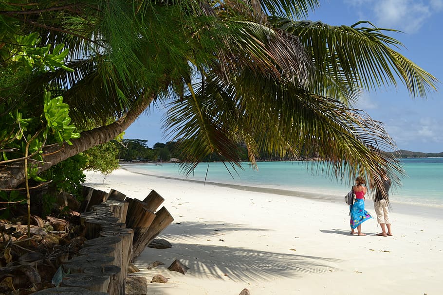 man and woman standing on the shore, praslin, island, seychelles, HD wallpaper