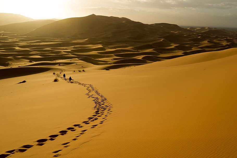 footsteps on sand during daytime, desert, landscape, highland