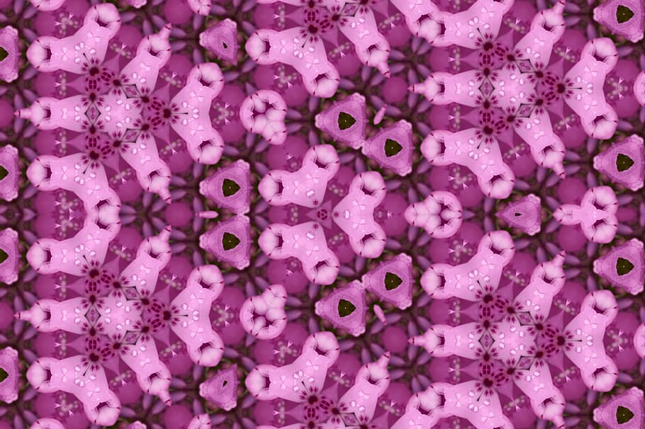 ornament, pattern, texture, full frame, purple, backgrounds HD wallpaper