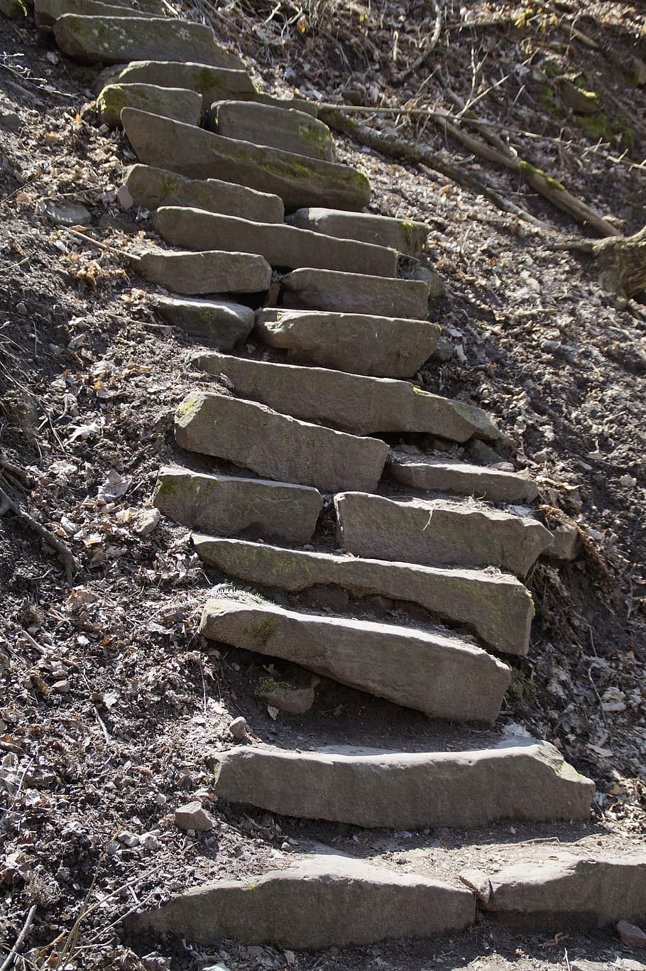 stone, nature, sand stone, stairs, jacob's ladder, head, forest path, HD wallpaper