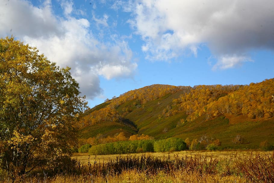 autumn, mountains, clouds, forest, trees, birch, fall colors HD wallpaper