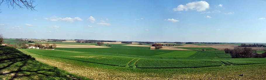 calm, champagne, plain, landscape, environment, sky, field HD wallpaper