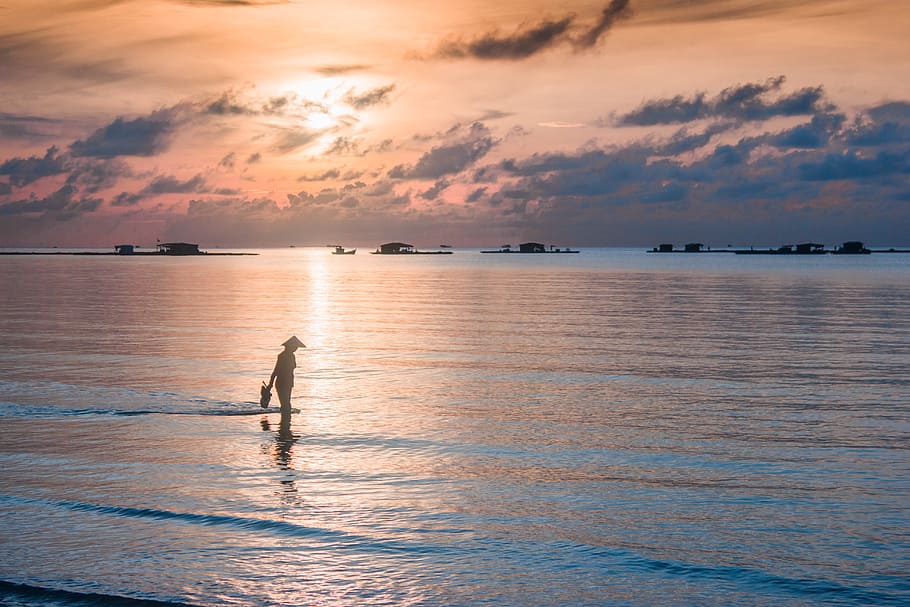 water, sunset, dawn, reflection, sea, dusk, beach, summer, outdoors HD wallpaper