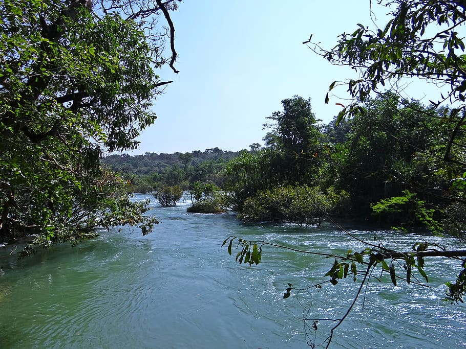 river, kali, water, flow, scenery, western ghats, dandeli, india HD wallpaper