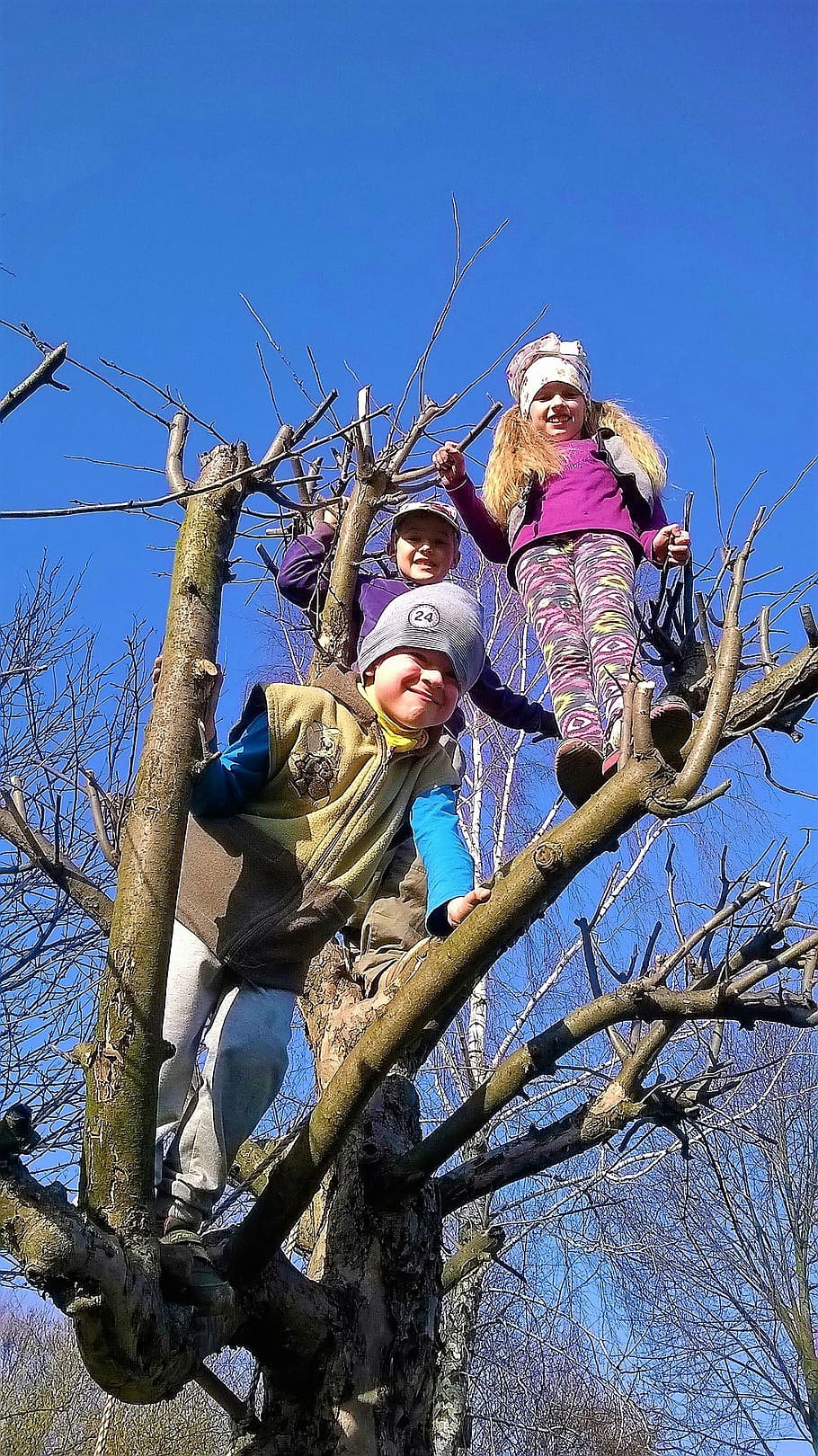 climbing, children, fun, tree, playground, climbing for children HD wallpaper