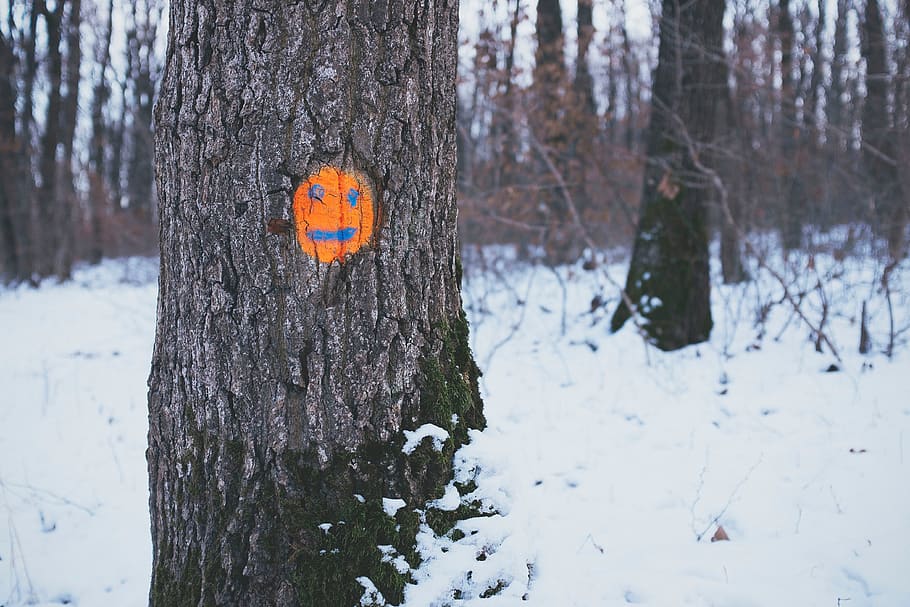 trees, orange, face, drawing, snow, forest, woods, plant, tree trunk HD wallpaper
