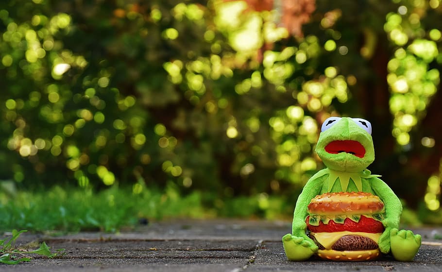 kermit, frog, cheeseburger, hamburger, funny, animal, stuffed animal HD wallpaper