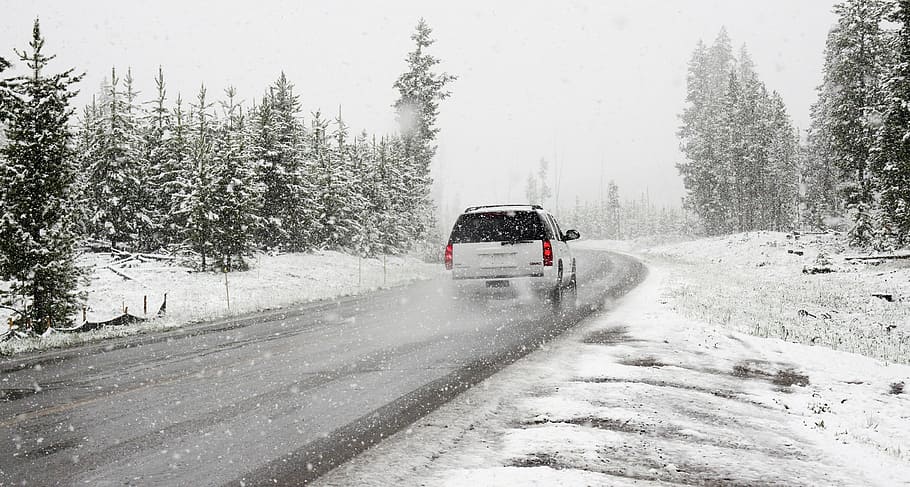 silver SUV on gray pathway between green tall trees, snow, road HD wallpaper
