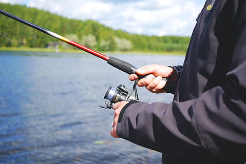 HD wallpaper: Fishing Rod, Tackle Box, glove, nature, water, river, sport