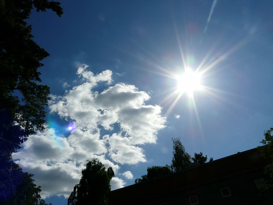 sky, sun, clouds, blue, rays, sunbeam, tree, sunlight, plant HD wallpaper