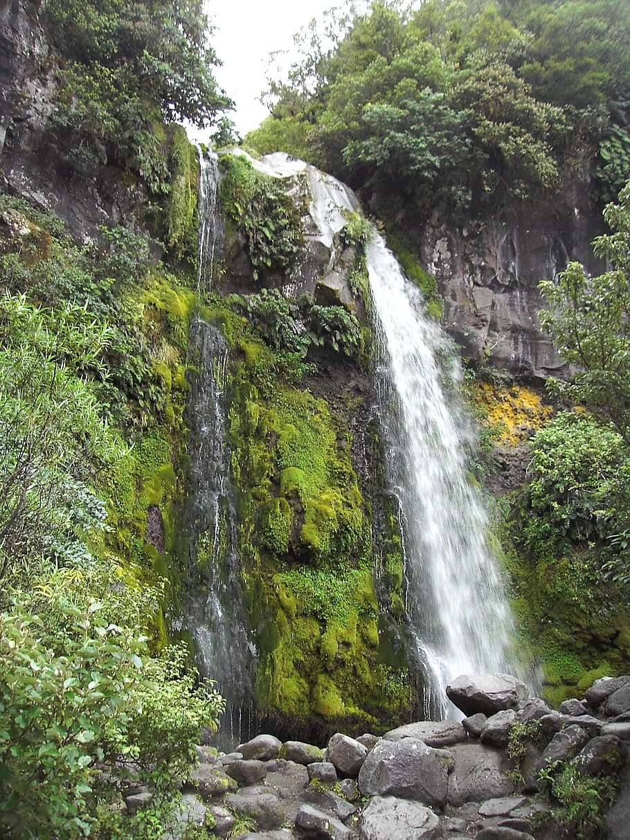 tasmania, waterfall, australia, nature, landscape, rock, beauty in nature