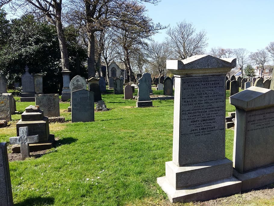 cemetery under clear blue sky, headstone, graveyard, funeral HD wallpaper