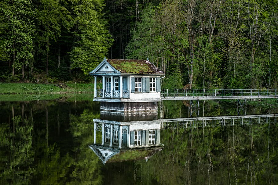 white and green house on top of water, white and gray shed with bridge near green trees HD wallpaper