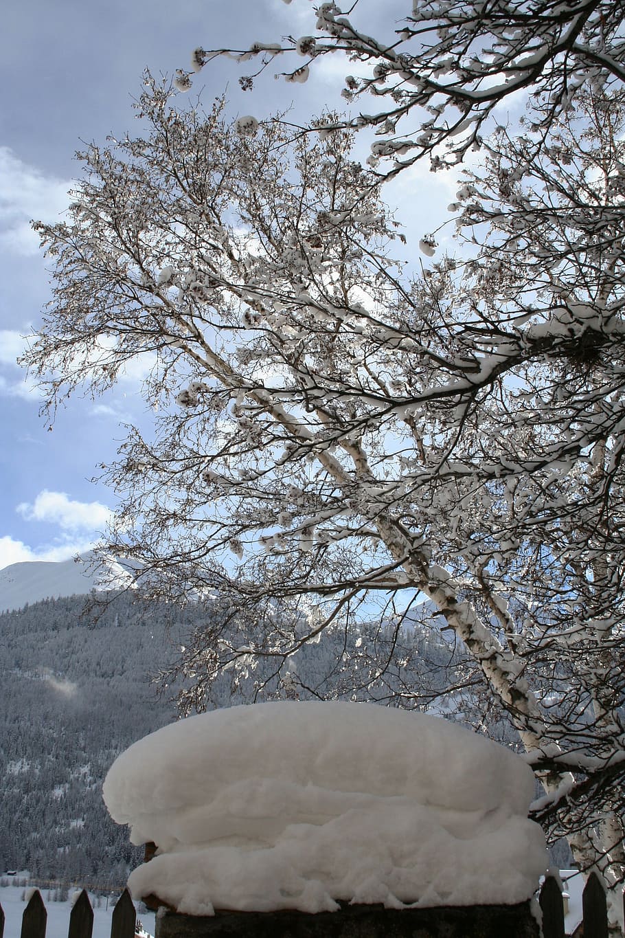 snow, winter, white, trees, switzerland, alpine, mountains HD wallpaper