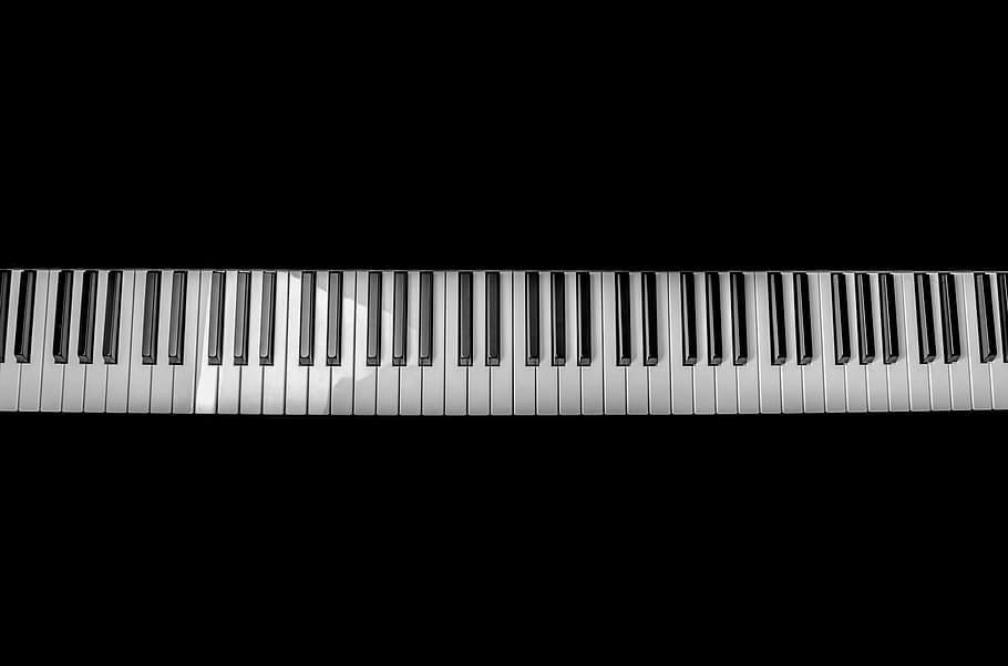 black and white electronic keyboard, abstract, art, backdrop, HD wallpaper