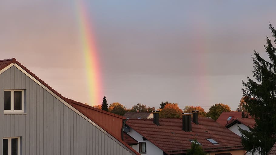 Rainbow, Spectrum, Tree, homes, built structure, building exterior HD wallpaper