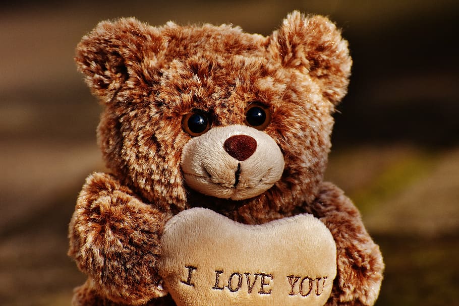 love, teddy, bears, cute, stuffed animal, valentine's day, friends HD wallpaper
