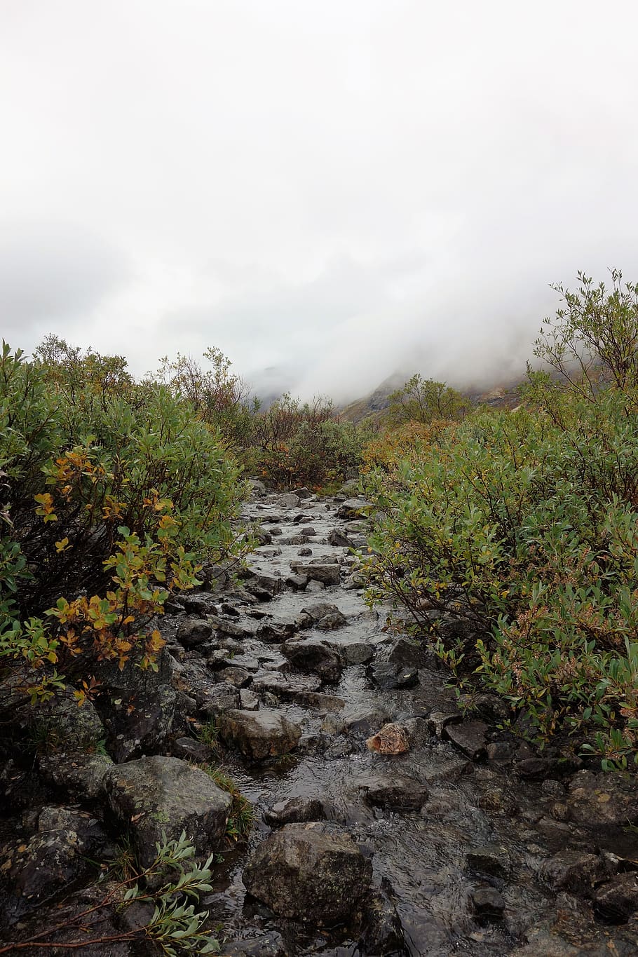 river, away, norway, plant, sky, nature, rock, tranquility HD wallpaper