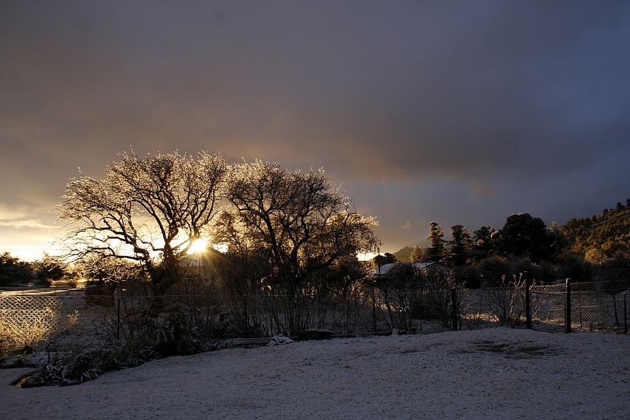 Trees, Clouds, Snow, Landscape, Nature, sky, environment, sunset HD wallpaper