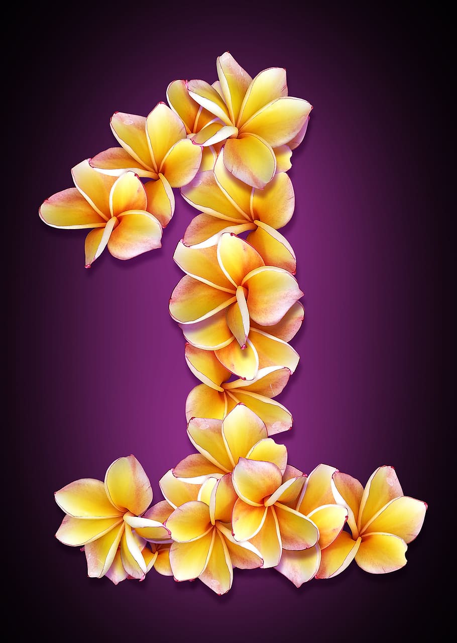 figure, date, flowers, collage, design, idea, bright, color HD wallpaper